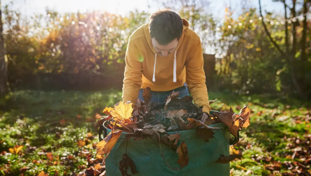 Fall brings crisp air, colorful foliage, and a renewed sense of energy. It's a time for pumpkin patches, yard work, and enjoying the outdoors. But with increased activity comes the potential for injuries.